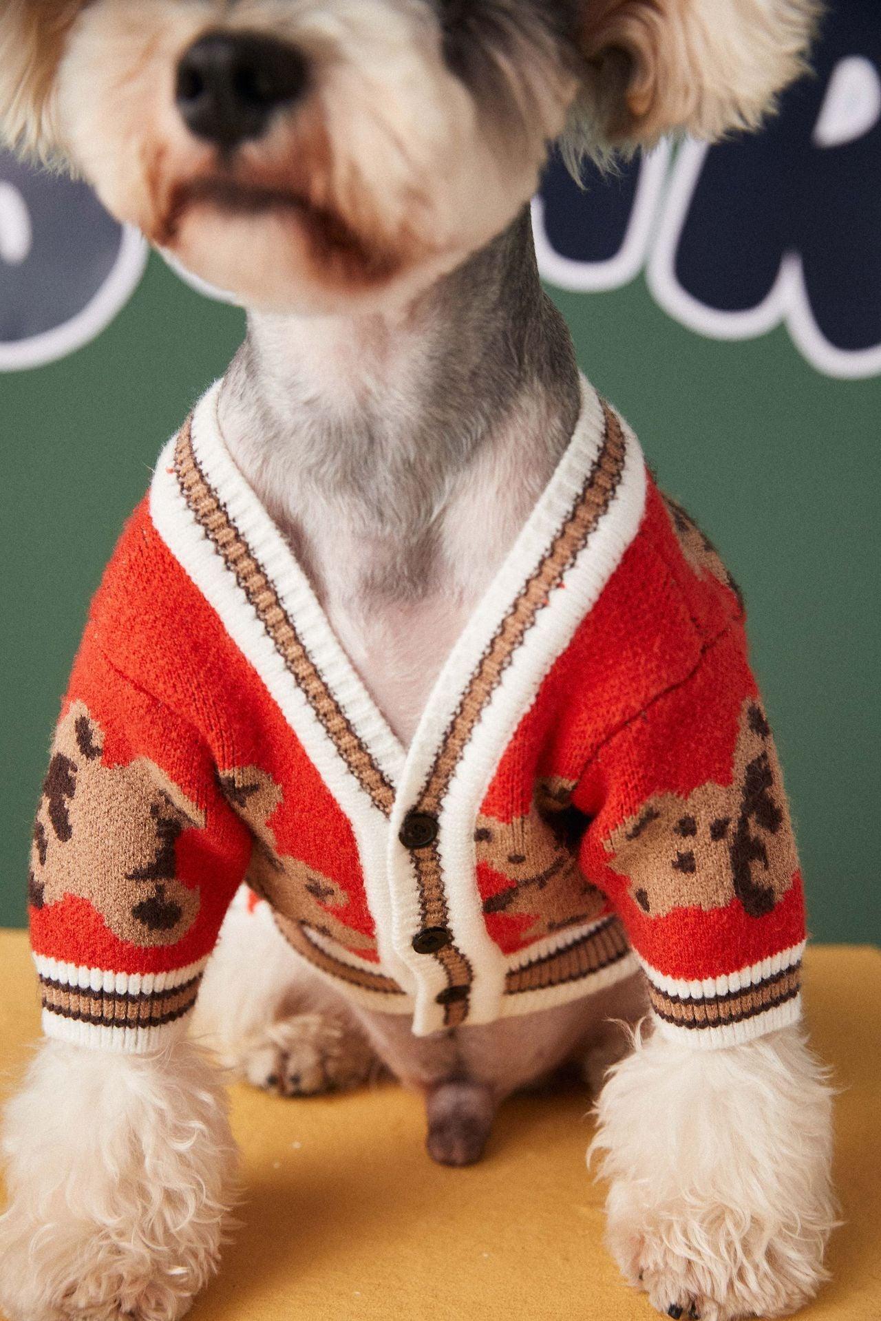 Preppy Paws V-Neck Striped Sweater - Cozy Winter Apparel For Dogs And Cats
