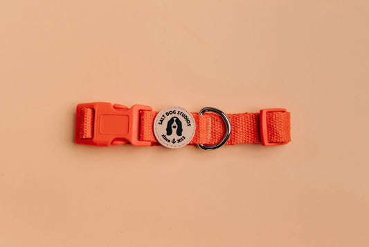 Organic Clementine Orange Hemp Dog Collar