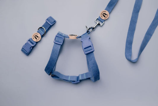 Organic Cornflower Blue Hemp Dog Lead