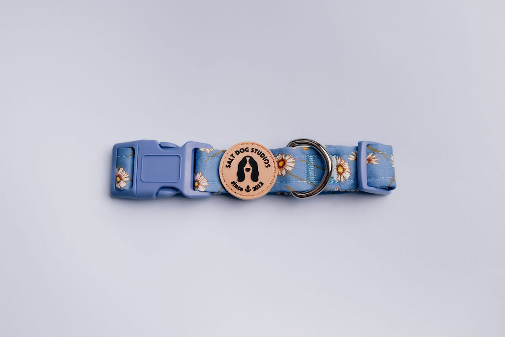 Daisy Daisy Dog Collar