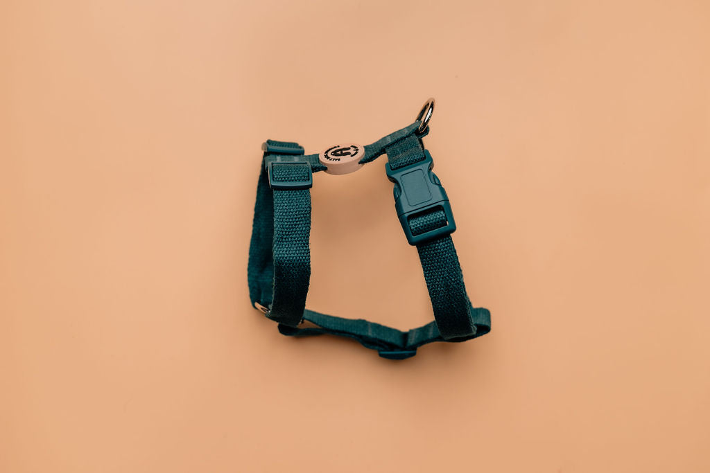 Organic Dark Teal Hemp Dog Harness