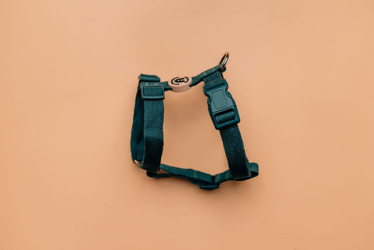 Organic Dark Teal Hemp Dog Harness