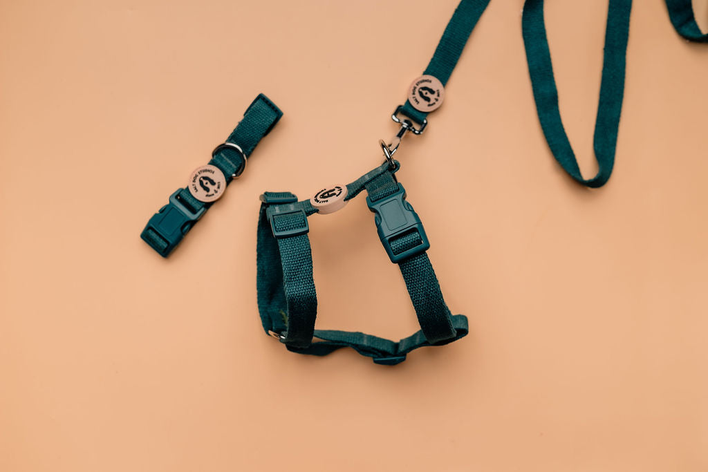 Organic Dark Teal Hemp Dog Harness